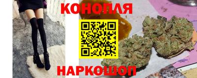 стаф Можга