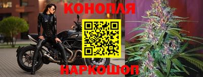 амф Малгобек
